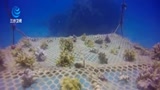 Timelapse