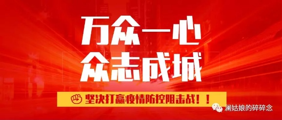 农村防疫战怎么打？一个河南农村的真实防疫记录
